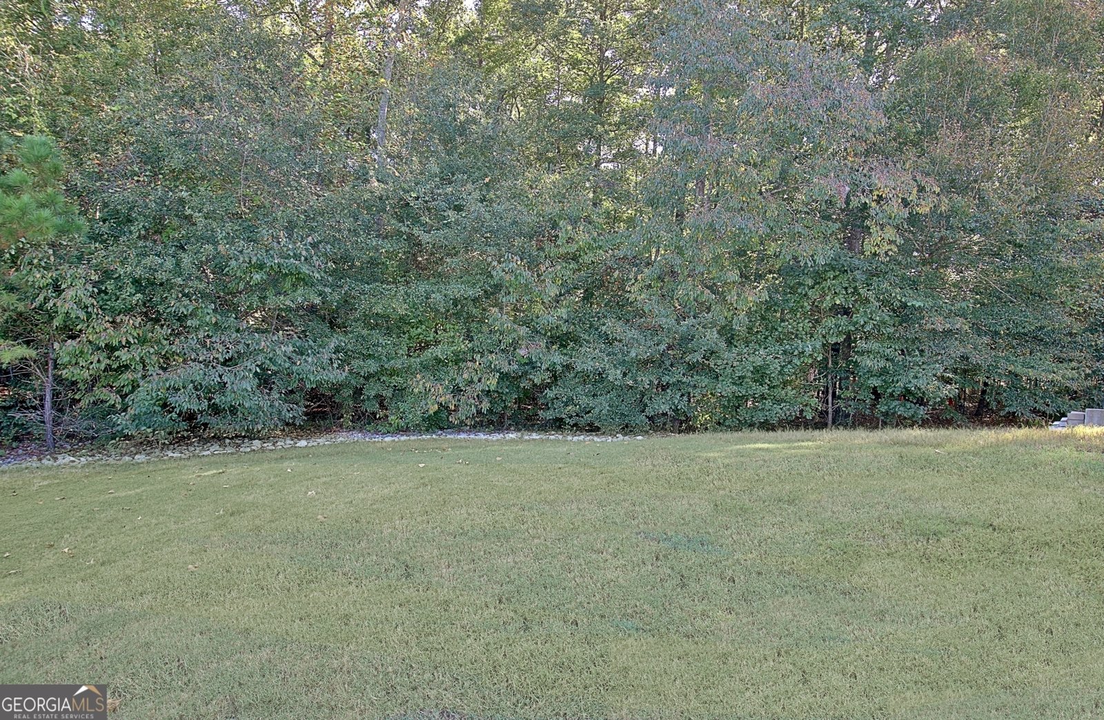 135 Mulberry Drive Senoia - 9