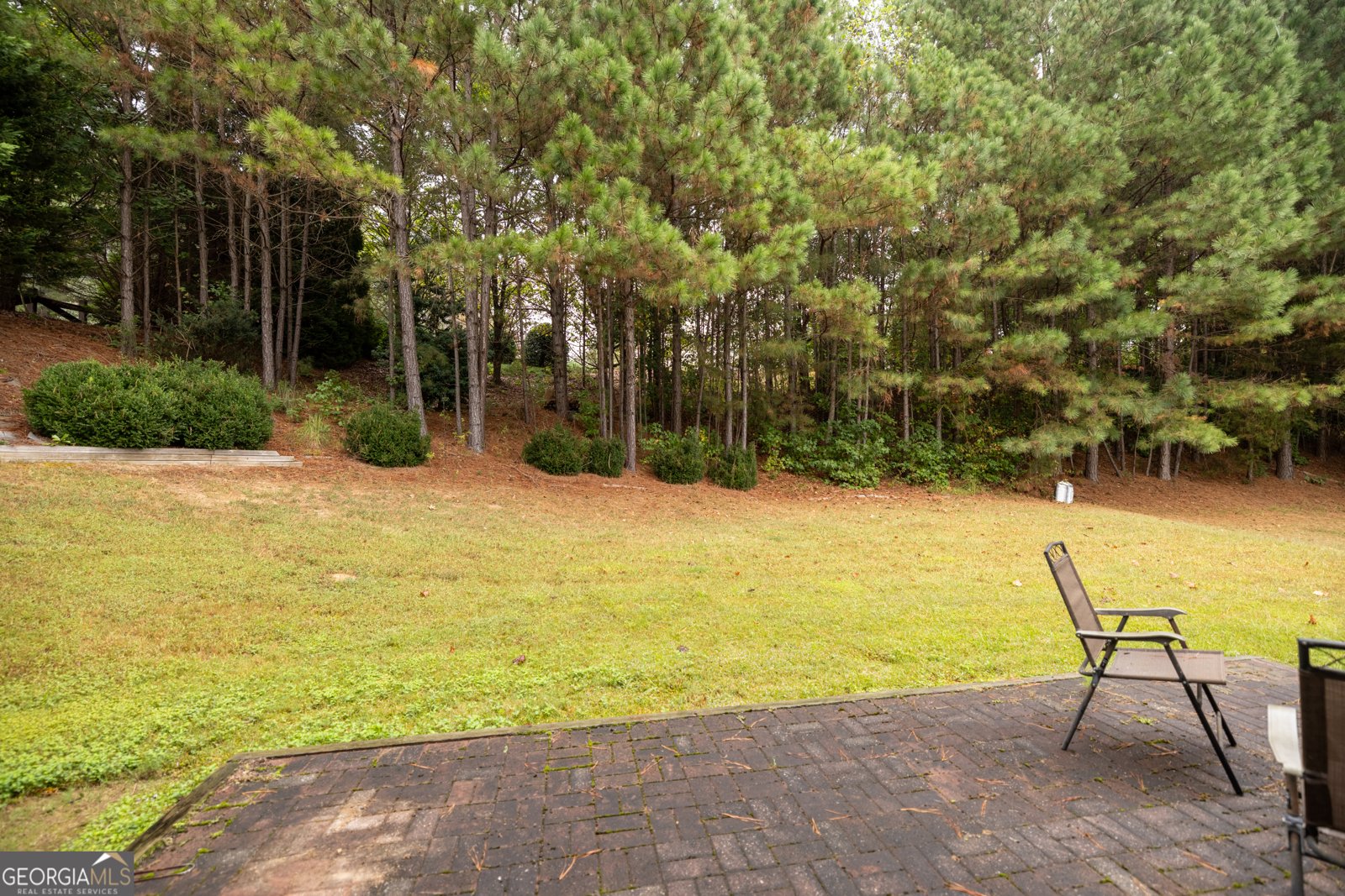 948 Lanier Springs Drive Buford - 30