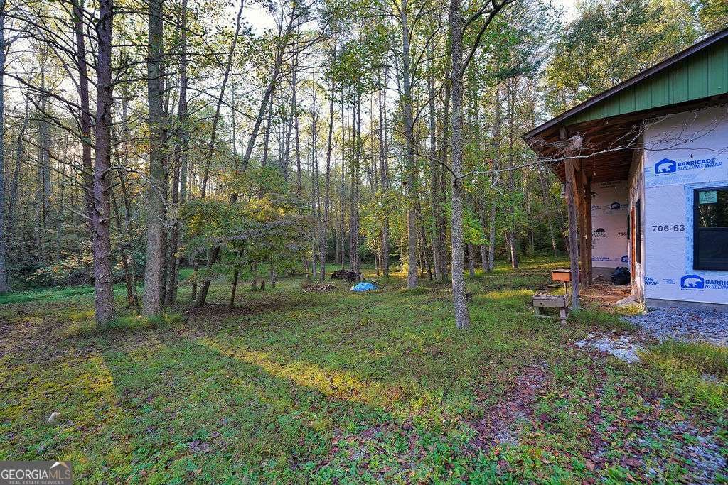1841 Old Bucktown Road Ellijay - 15