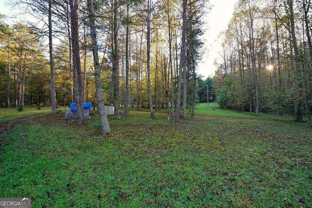 1841 Old Bucktown Road Ellijay - 27