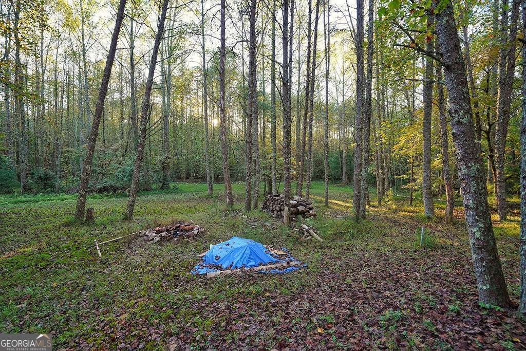 1841 Old Bucktown Road Ellijay - Photo 33