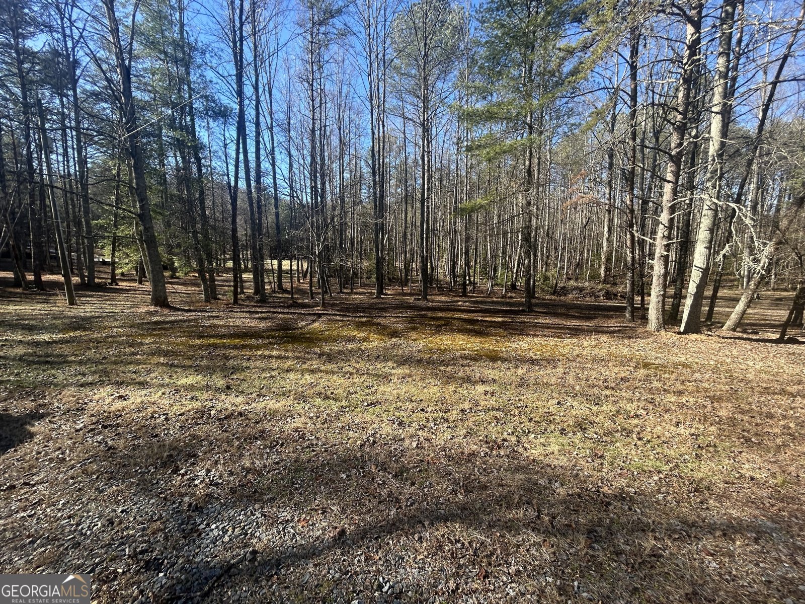 1841 Old Bucktown Road Ellijay - Photo 35