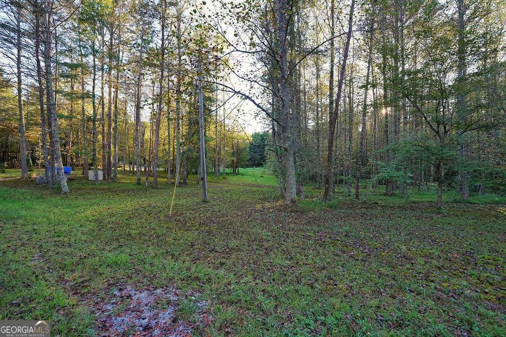 1841 Old Bucktown Road Ellijay - 5