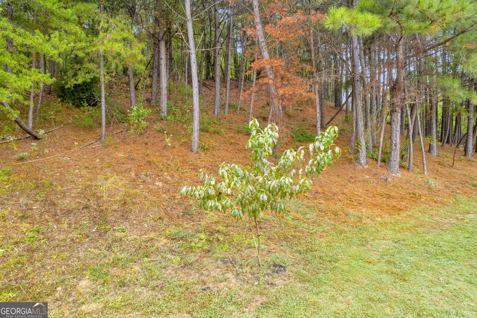230 Flowing Trail Dawsonville - 10