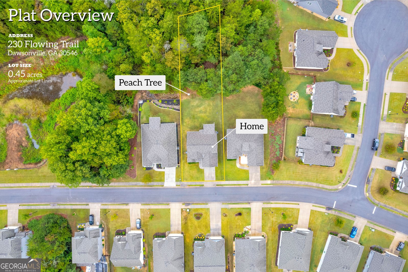 230 Flowing Trail Dawsonville - 3