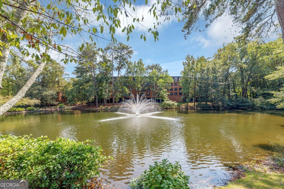 24315 Plantation Drive Atlanta - 39