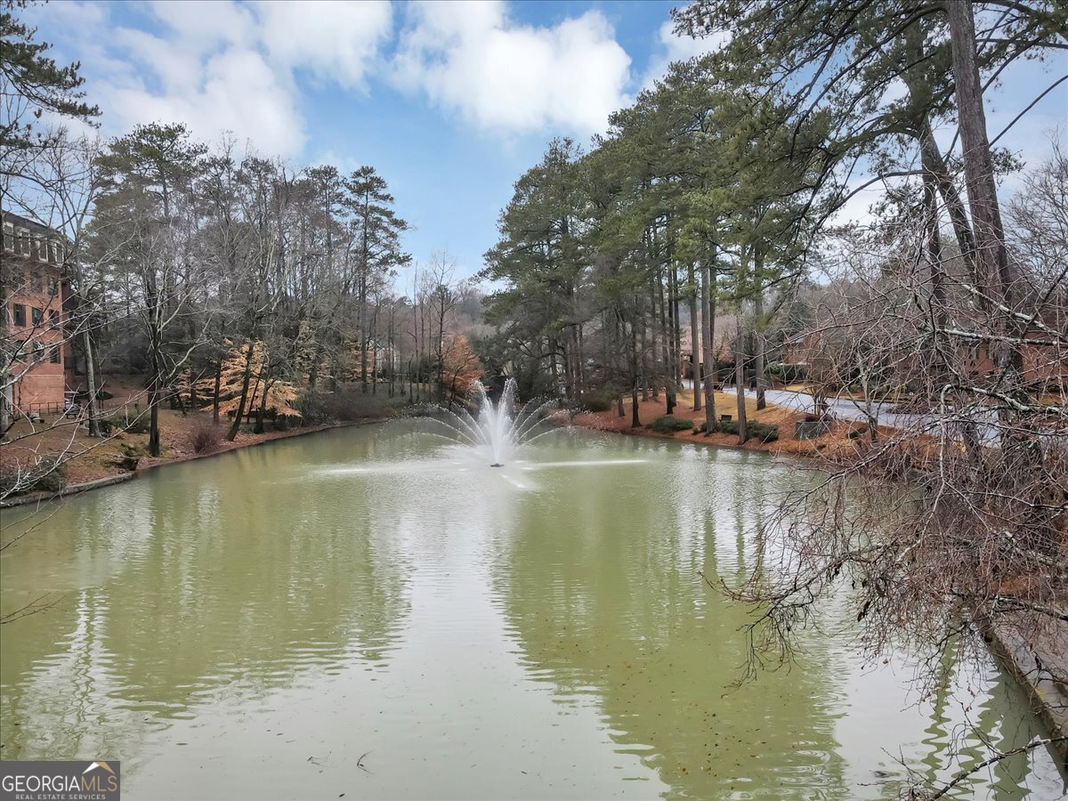 24315 Plantation Drive Atlanta - 40