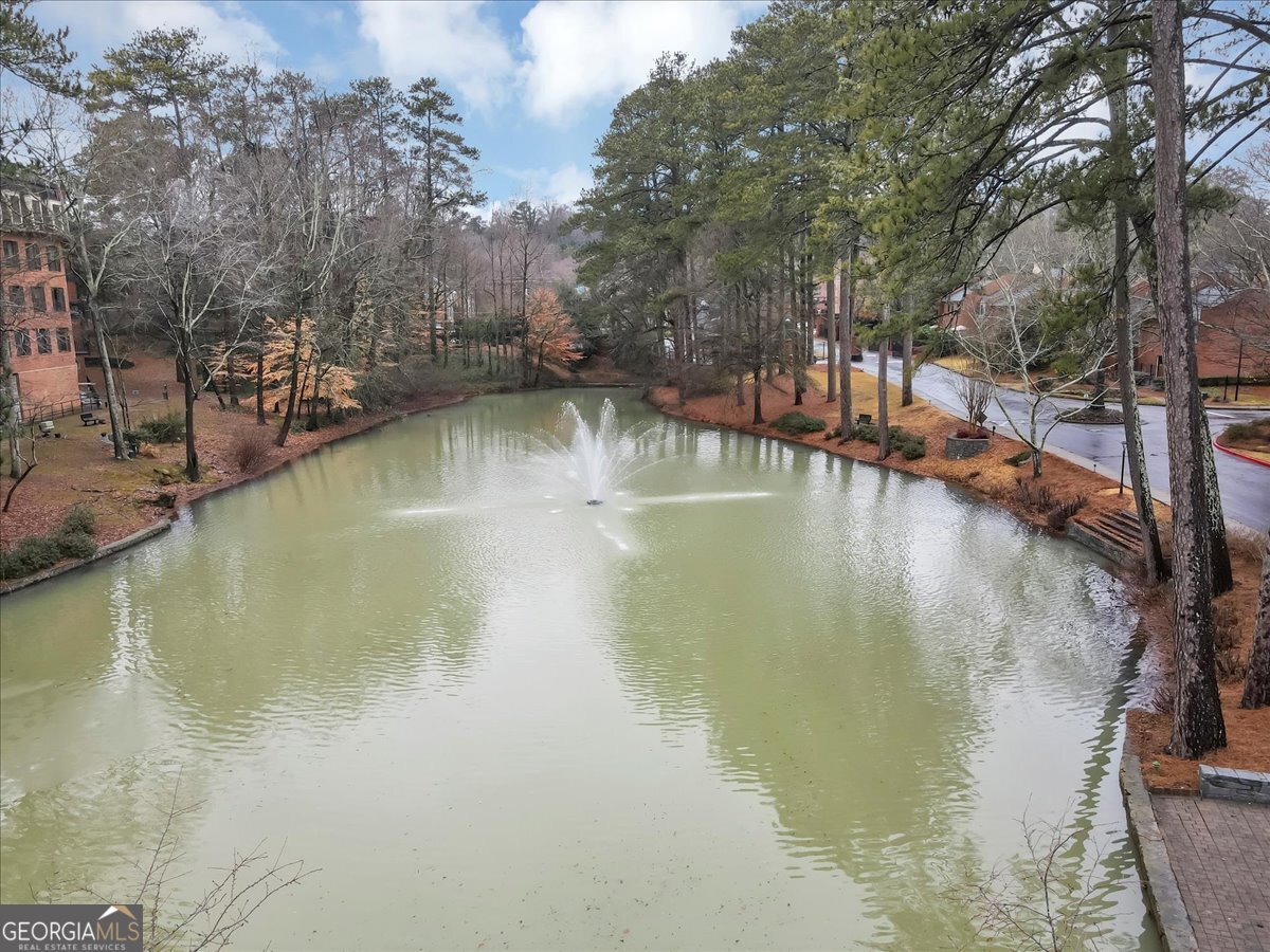 24315 Plantation Drive Atlanta - 41