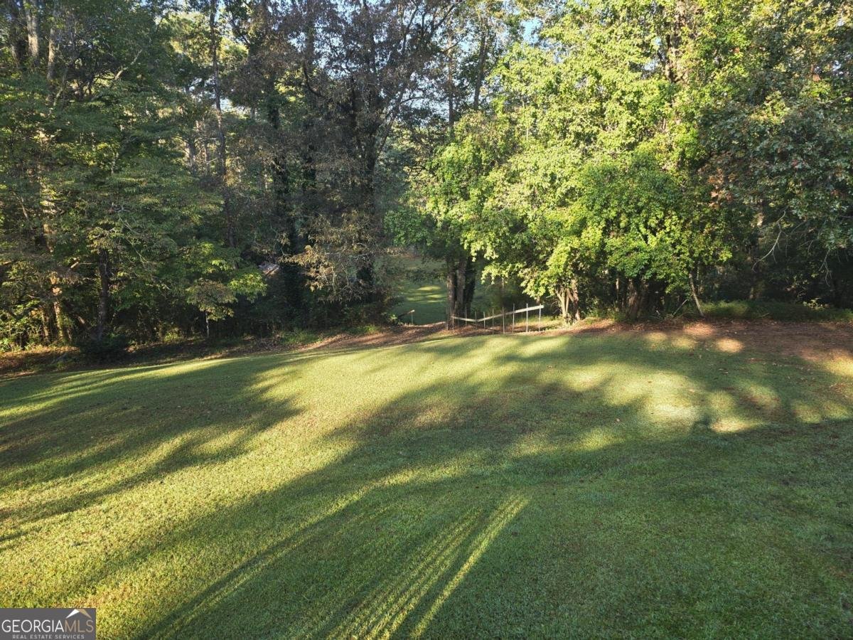 7680 Banks Mill Road Douglasville - 13