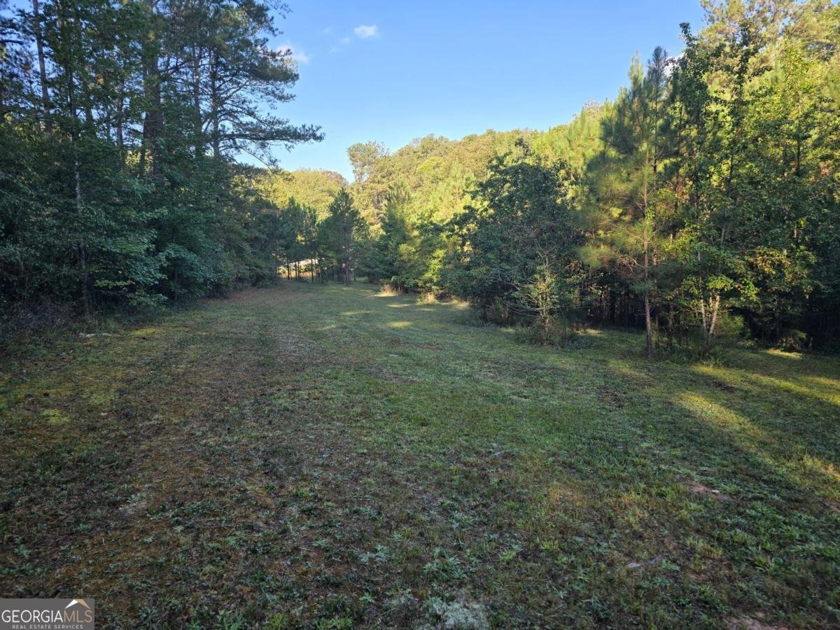 7680 Banks Mill Road Douglasville - 44