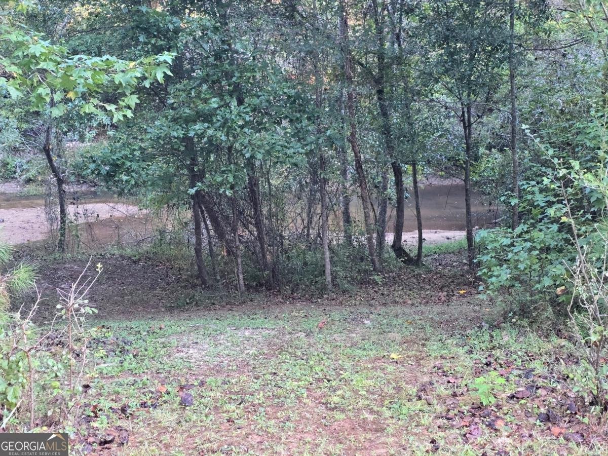 7680 Banks Mill Road Douglasville - 46