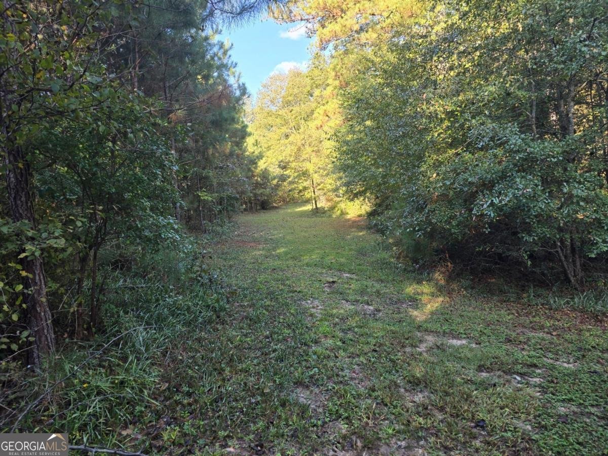 7680 Banks Mill Road Douglasville - 49