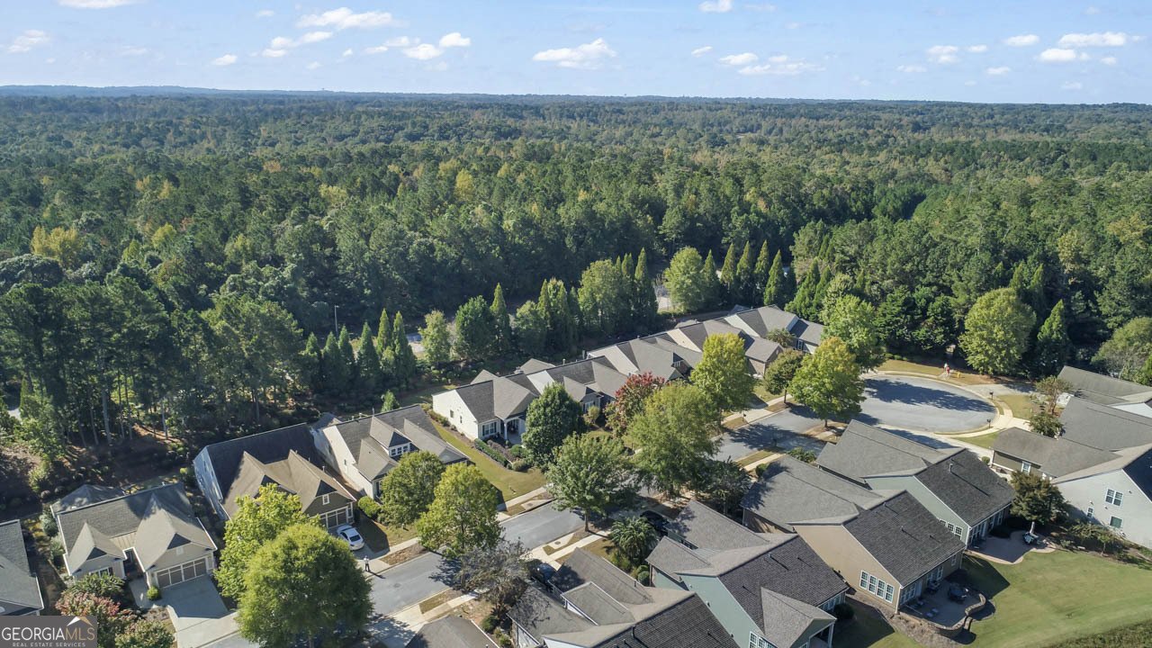 811 Dusky Sap Court Griffin - 38