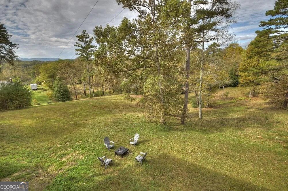 100 Blueberry Lane Blue Ridge - 11