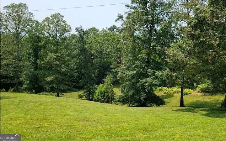 100 Blueberry Lane Blue Ridge - 17