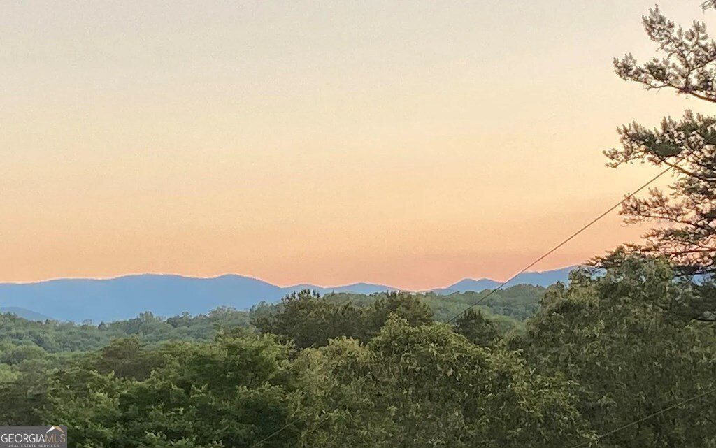 100 Blueberry Lane Blue Ridge - 23