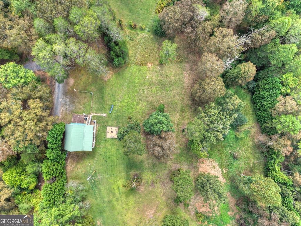 100 Blueberry Lane Blue Ridge - 38