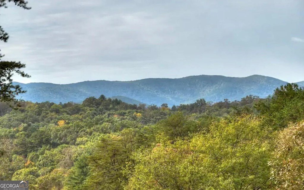 100 Blueberry Lane Blue Ridge - 5