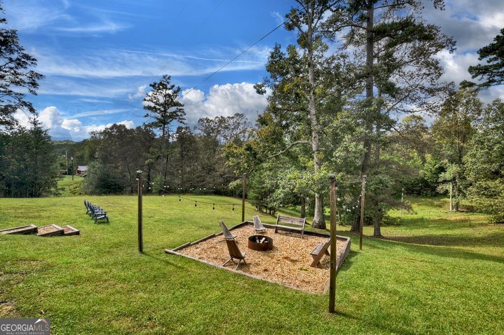 100 Blueberry Lane Blue Ridge - 51