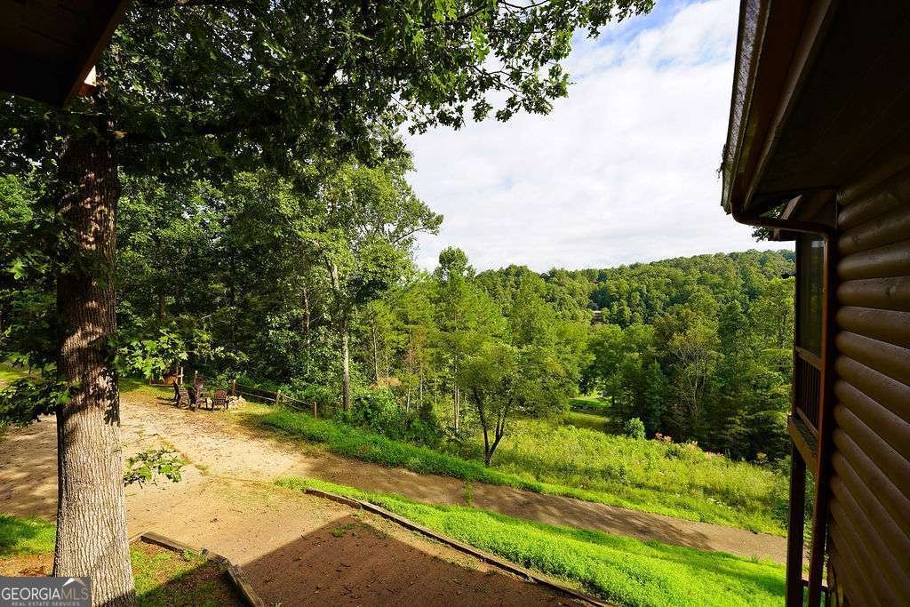 152 Cowboy Way Mineral Bluff - 4