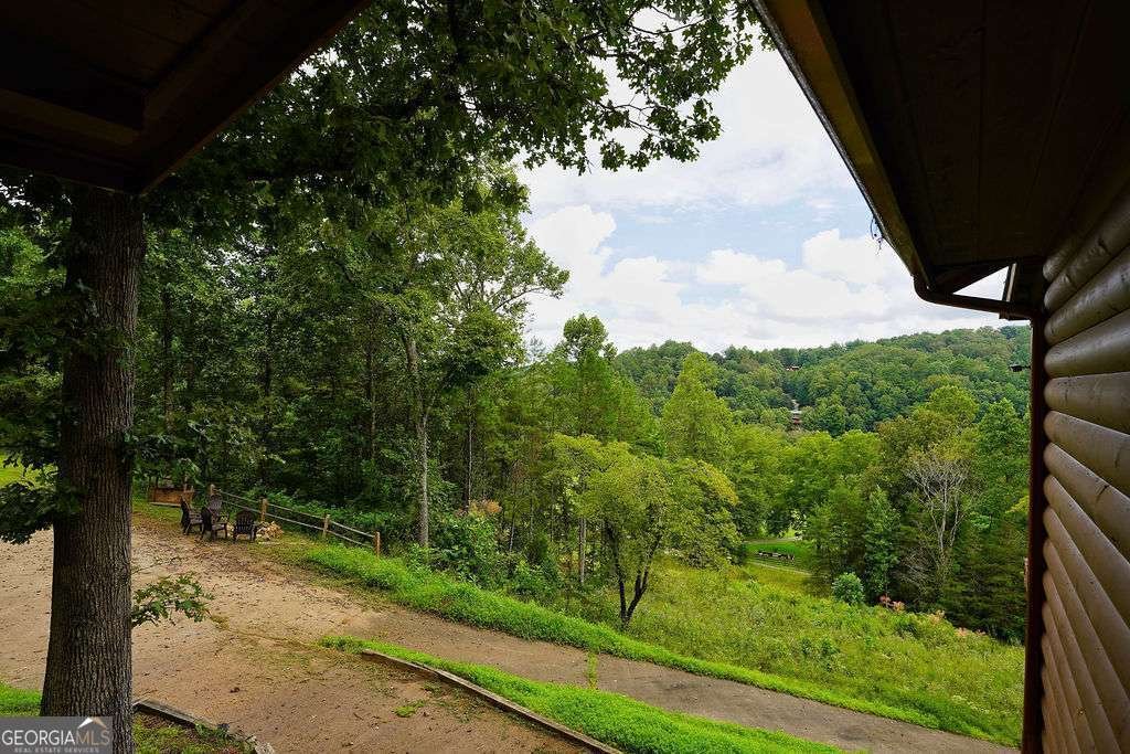 152 Cowboy Way Mineral Bluff - 45