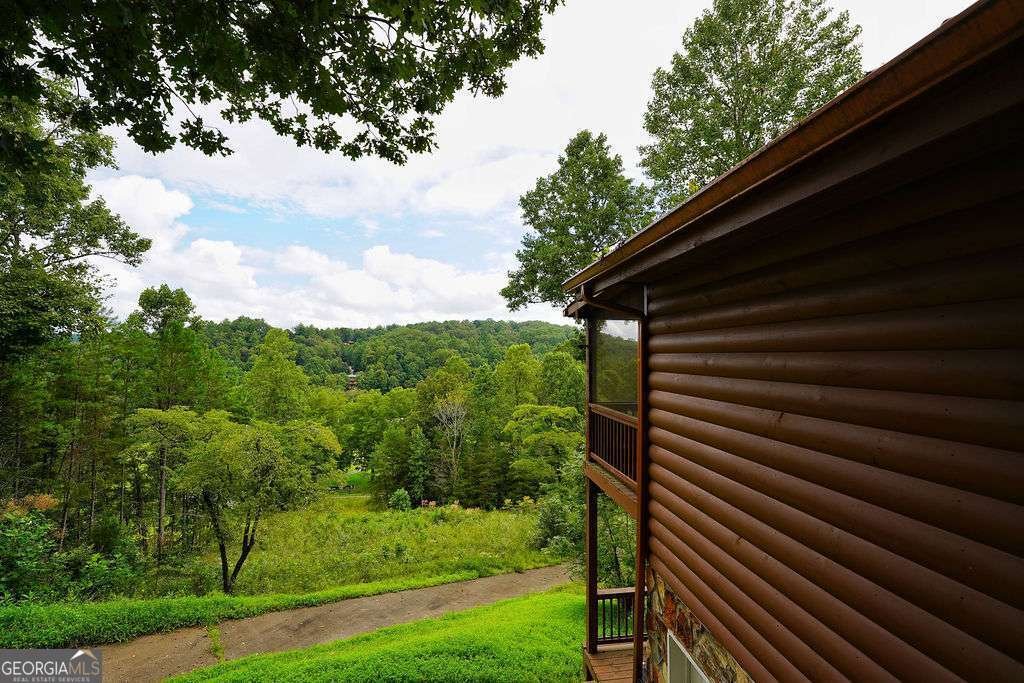 152 Cowboy Way Mineral Bluff - 46