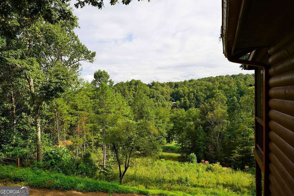 152 Cowboy Way Mineral Bluff - 5