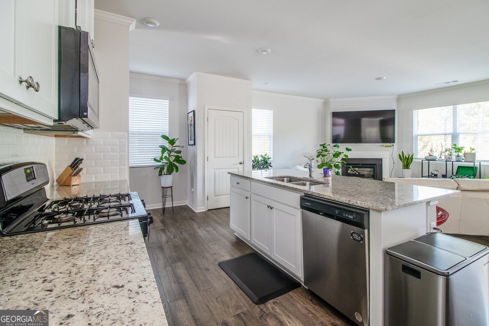 6095 Hoot Owl Lane Flowery Branch - 12