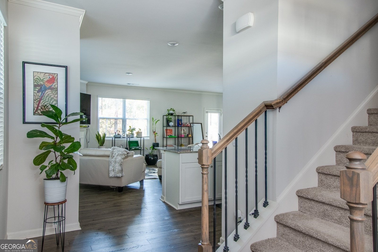 6095 Hoot Owl Lane Flowery Branch - 6