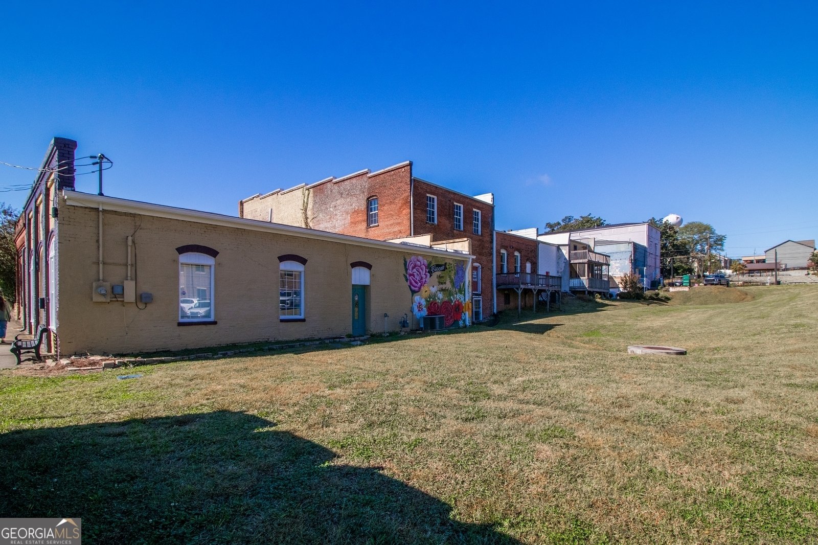 6095 Hoot Owl Lane Flowery Branch - 72