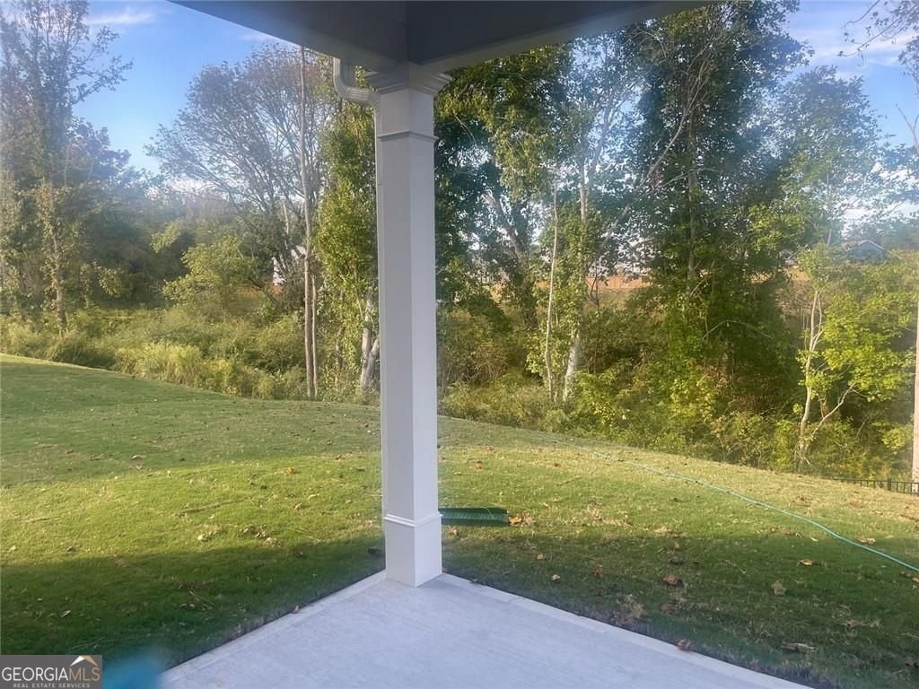 62 Calla Drive Douglasville - 47