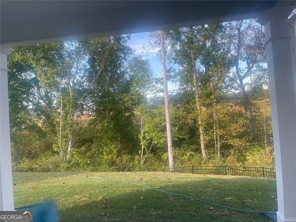 62 Calla Drive Douglasville - 48