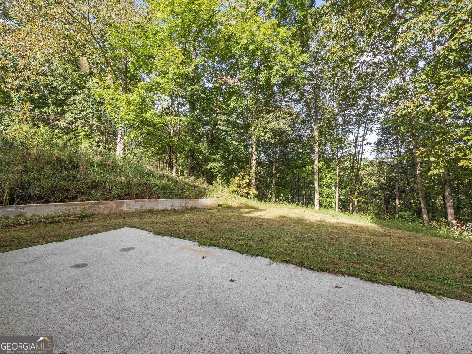 3368 Green Leaf Lane Gainesville - 42