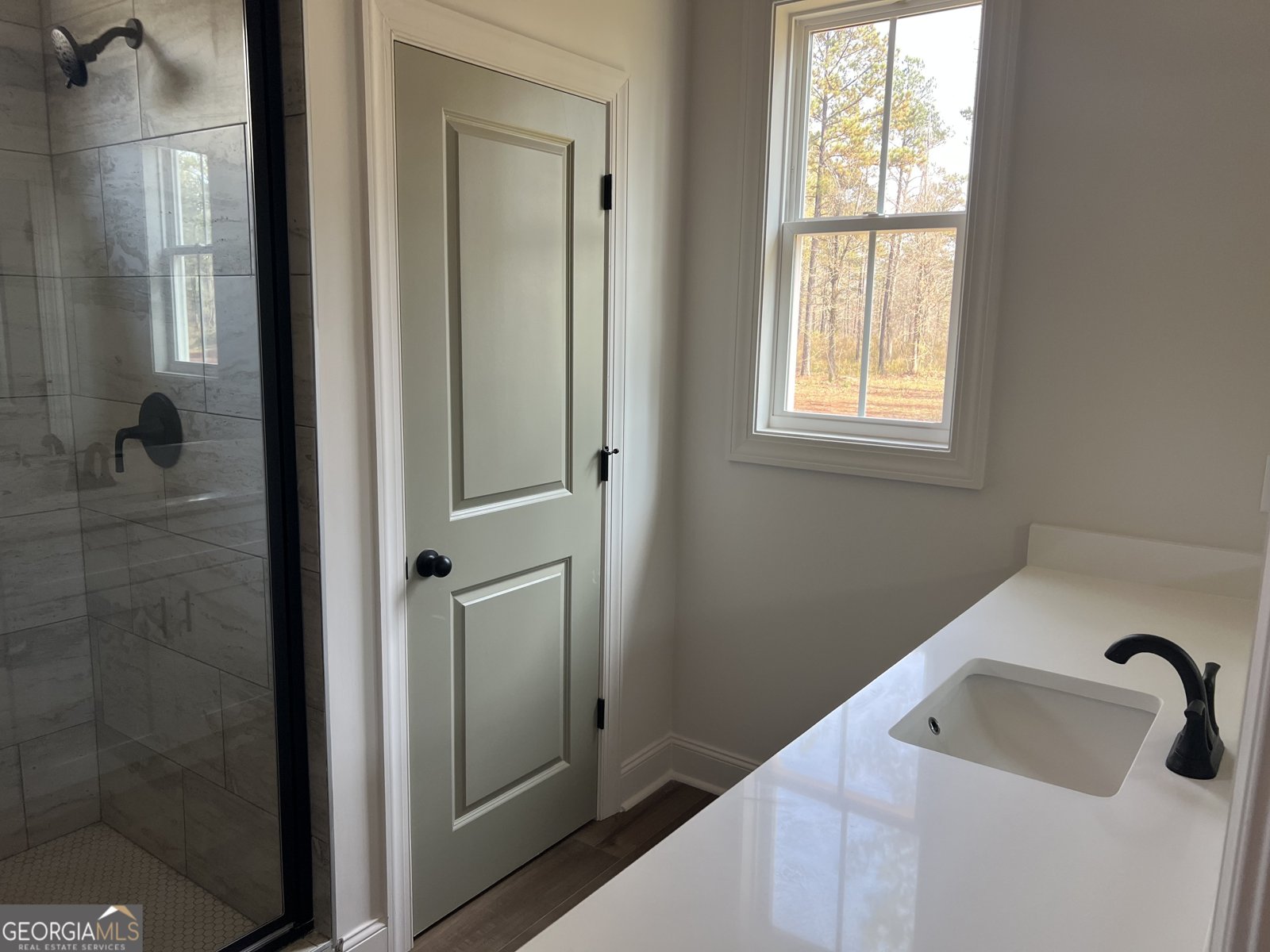 610 Dean Patrick Locust Grove - 9