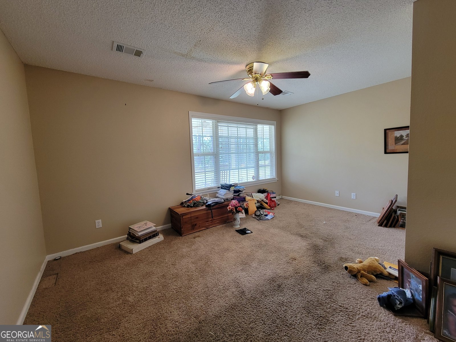 3256 Hwy 29 Vidalia - 43