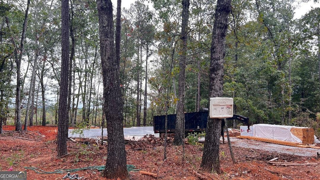 187 Coffey Road Barnesville - 23