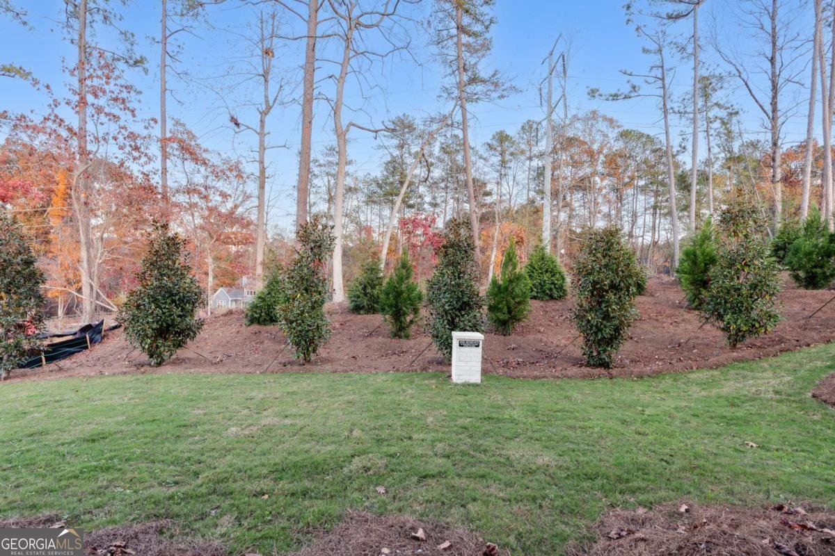 2340 Ellis Mountain Drive Marietta - 7