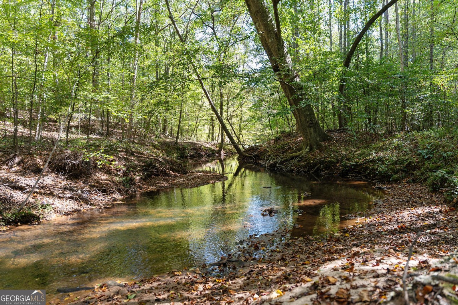 1171 King Mill Road McDonough - 30