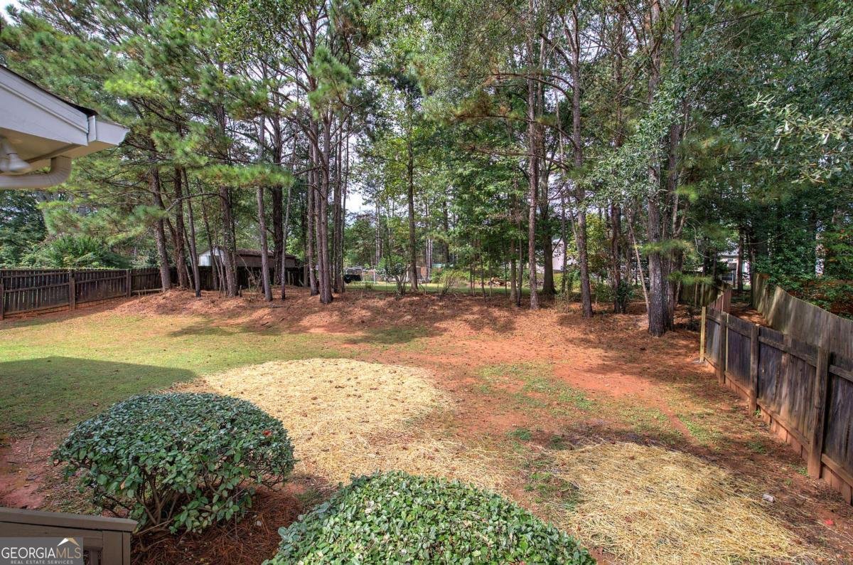 3524 Hopkins Way Powder Springs - 22
