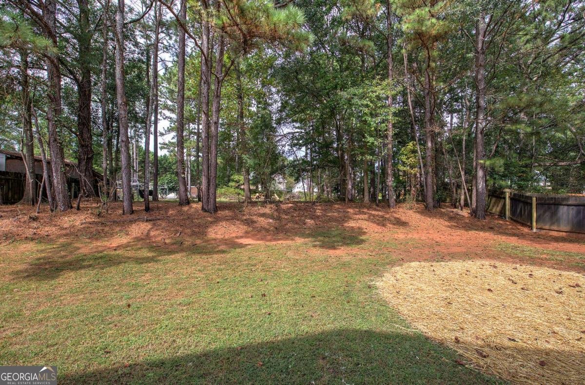 3524 Hopkins Way Powder Springs - 26