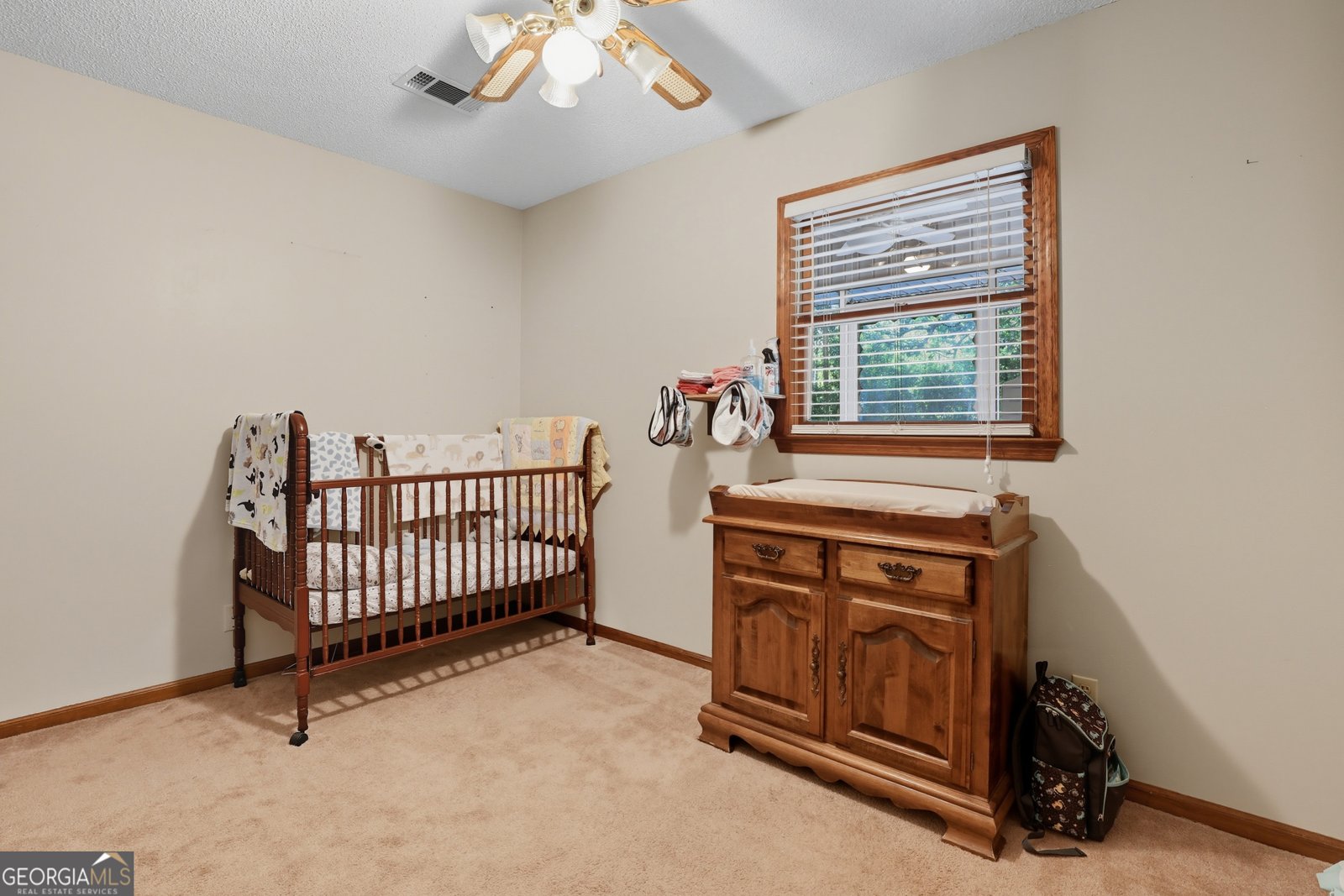 252 Hagin Lane Statesboro - 19