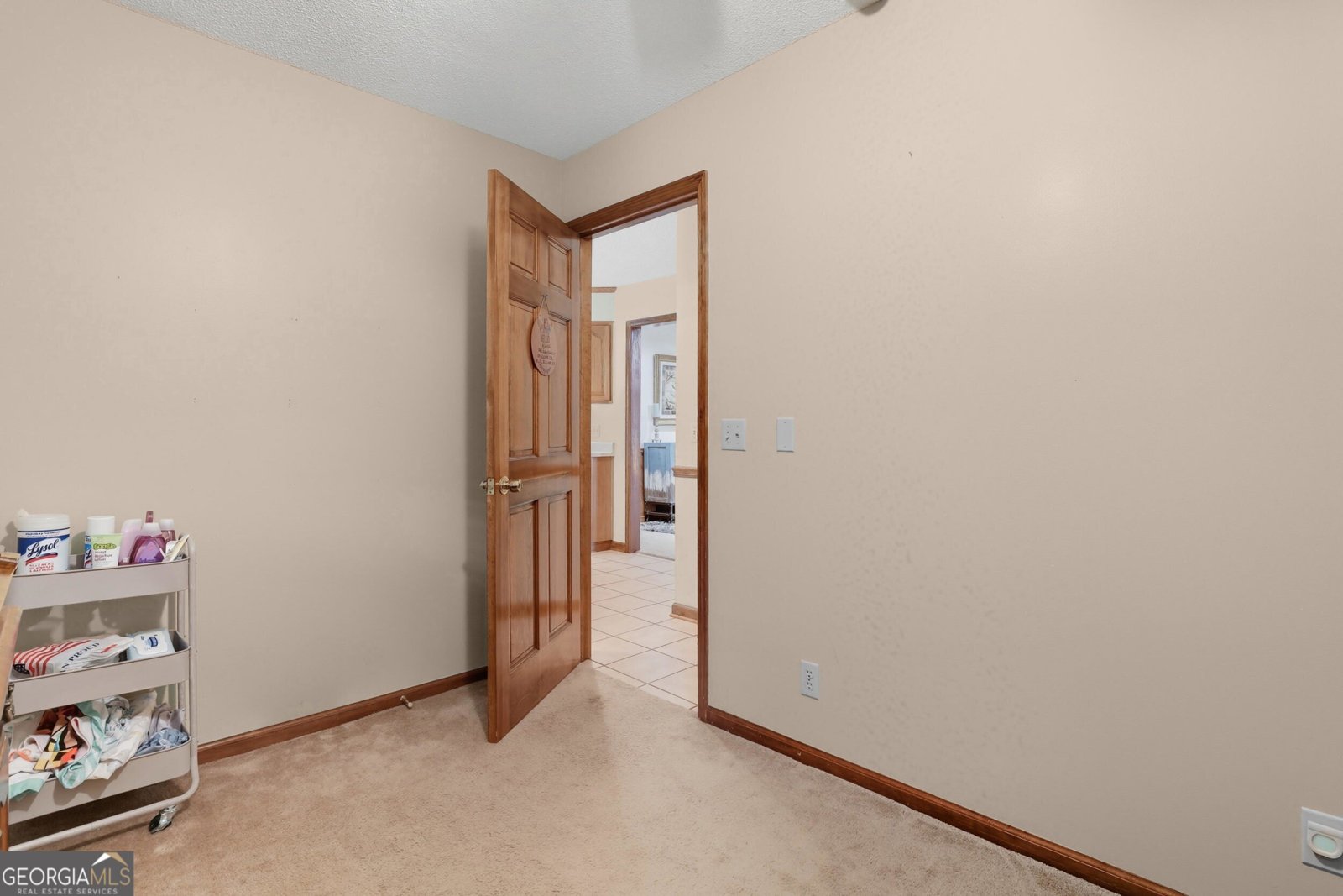 252 Hagin Lane Statesboro - 21