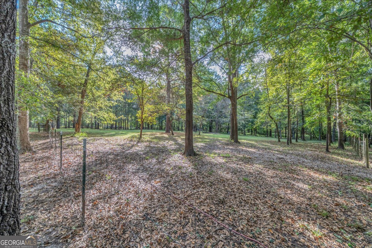 81 Peach Blossom Road Pineview - 13