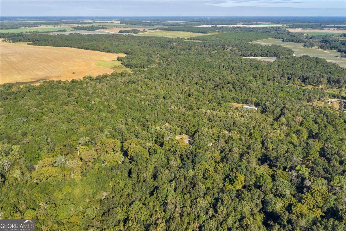 81 Peach Blossom Road Pineview - 39