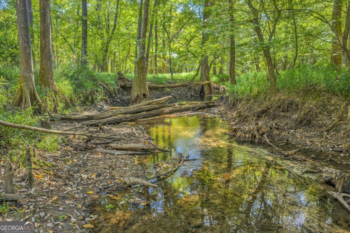 81 Peach Blossom Road Pineview - 42