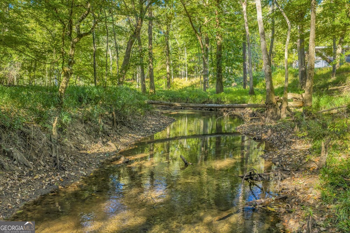 81 Peach Blossom Road Pineview - 43