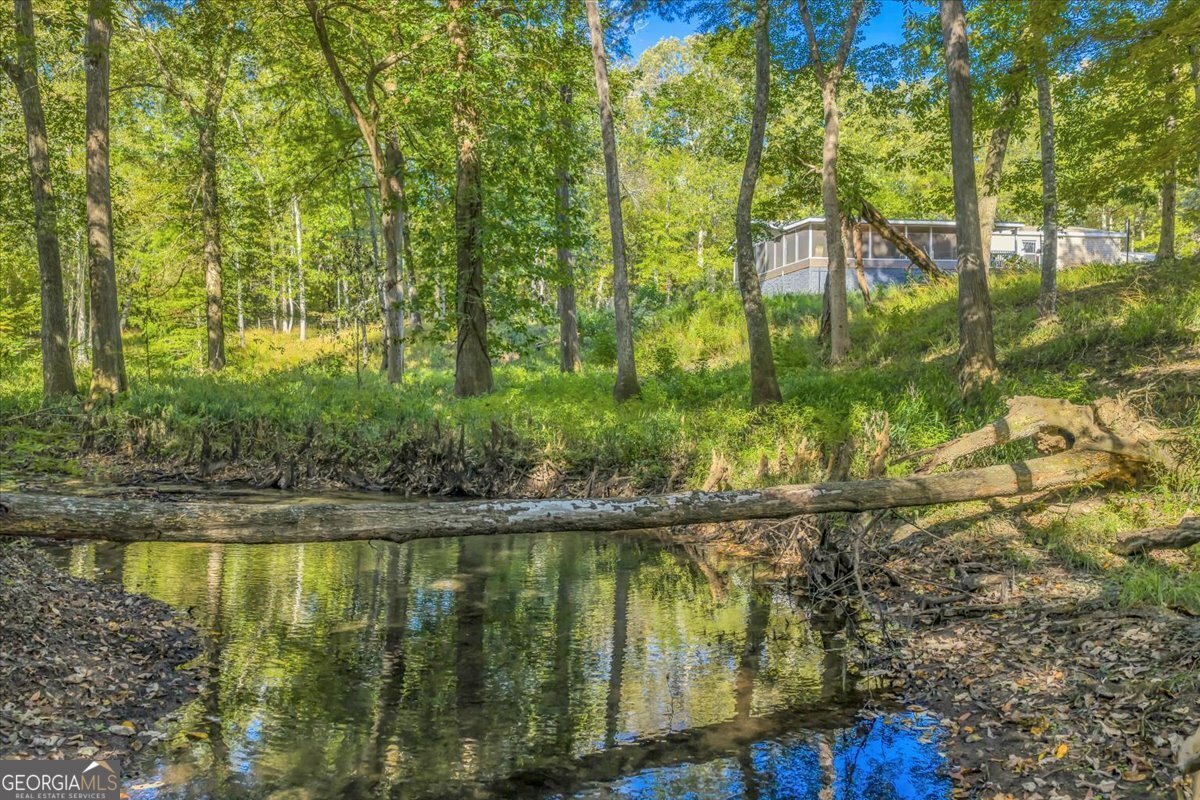 81 Peach Blossom Road Pineview - 44