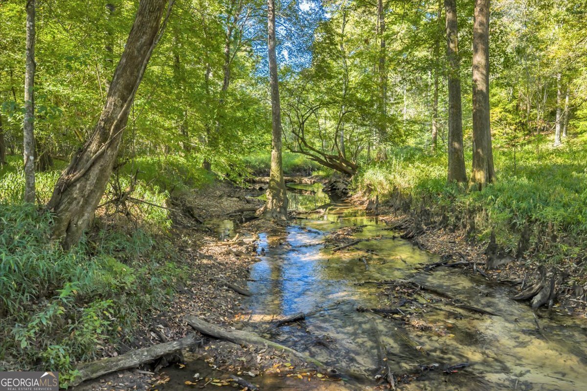 81 Peach Blossom Road Pineview - 45