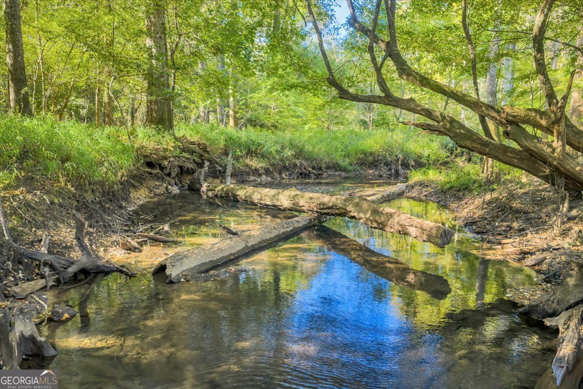 81 Peach Blossom Road Pineview - 46