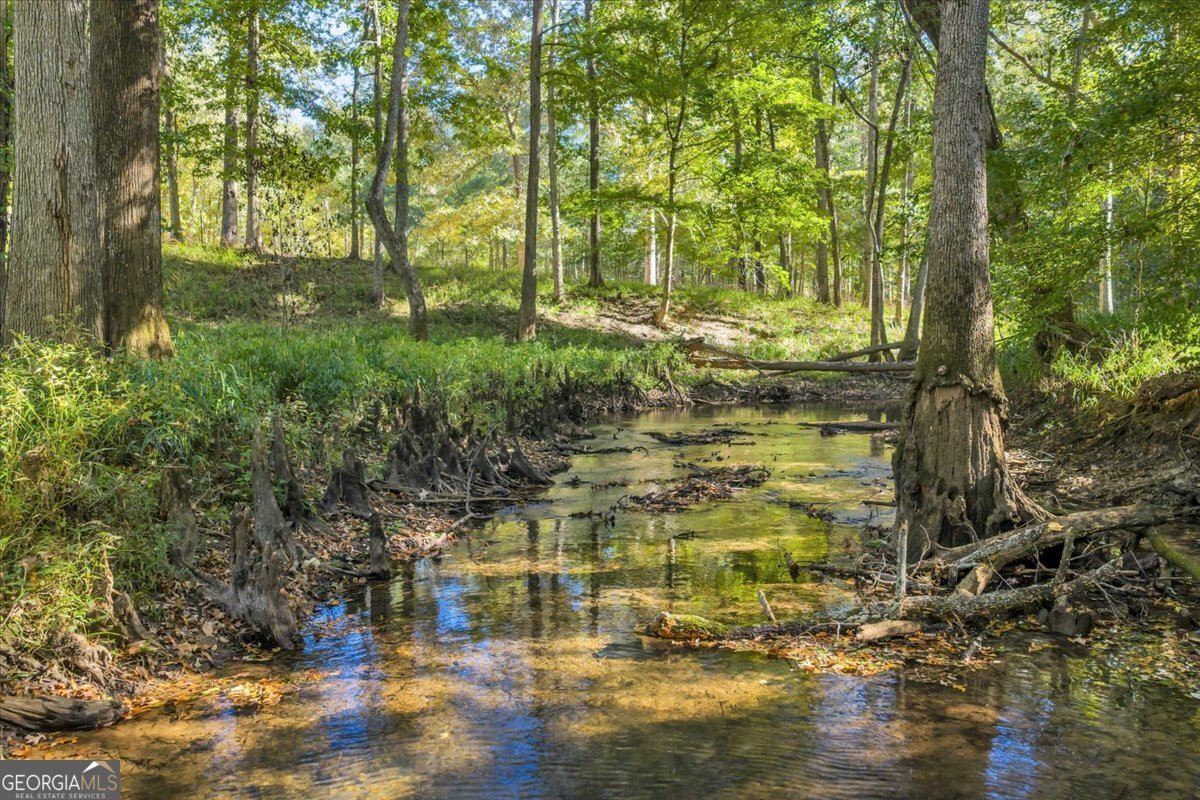 81 Peach Blossom Road Pineview - 47